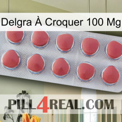 Delgra À Croquer 100 Mg 18
